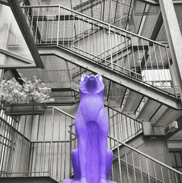 Purple Day