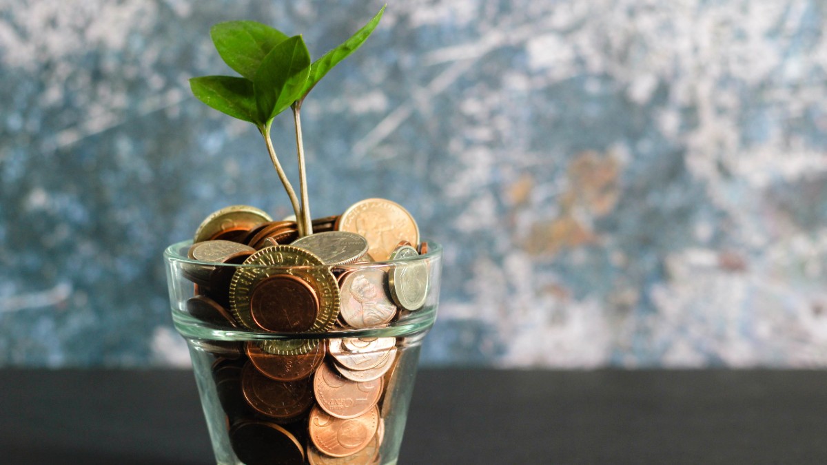 LMS: un buon&nbsp;investimento?