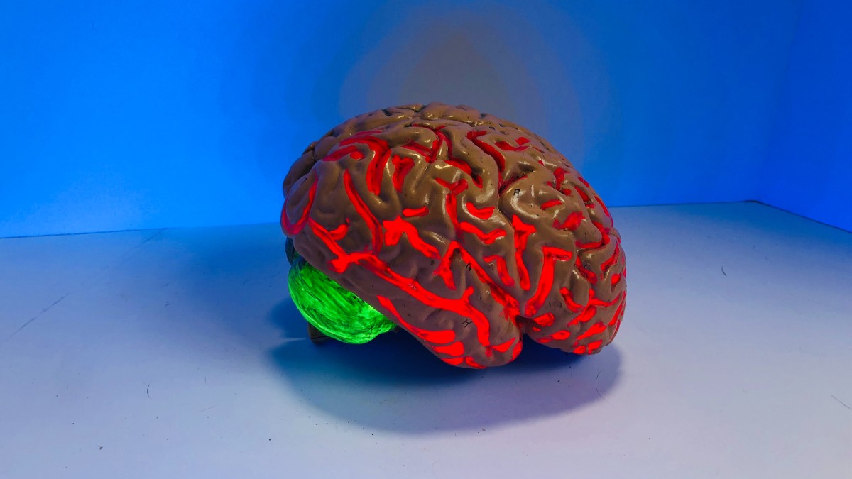 L’elearning e la teoria del carico&nbsp;cognitivo